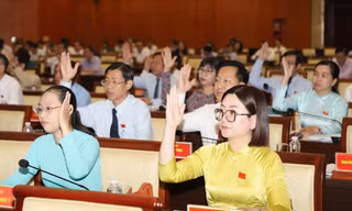 Chi tiết 20 xã, phường ở TPHCM được nuôi chim yến