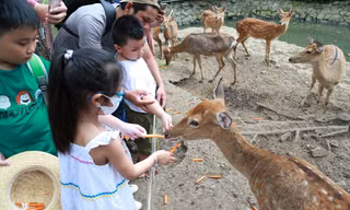 TPHCM: Cuối tuần, nườm nượp người đến Thảo Cầm Viên giải nhiệt