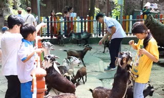 150 bạn nhỏ có hoàn cảnh đặc biệt thăm vườn thú lâu đời nhất Việt Nam