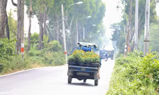 Tránh phát triển đô thị ngoại thành TPHCM theo 'vết dầu loang', tự phát