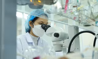 ĐHQG TPHCM hỗ trợ nghiên cứu sinh lên đến 560 triệu đồng