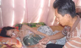 Sống thực vật sau tai nạn