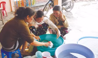 Một cơ sở tôm giống ở xã Long Toàn (Duyên Hải, Trà Vinh) không đủ tôm giống chất lượng để bán Ảnh: Diệu Hiền