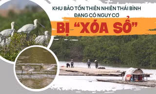 Chi tiết khu bảo tồn thiên nhiên ở Thái Bình đang có nguy cơ bị 'xóa sổ'