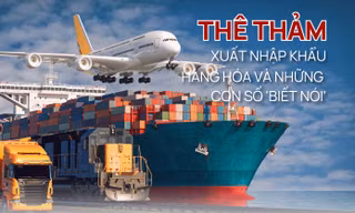 Thê thảm xuất nhập khẩu hàng hóa và những con số 'biết nói'