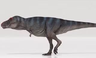 Khủng long bạo chúa T-Rex được cho là đi chậm hơn con người