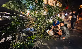 Cây đa bất ngờ gãy đổ ngang đường, một người bị thương