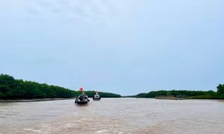 Thái Bình công bố vị trí Khu bảo tồn thiên nhiên đất ngập nước Tiền Hải, giữ nguyên 12.500ha