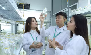 Nông sản Việt Nam có thể giá trị gấp 5-7 lần hiện nay