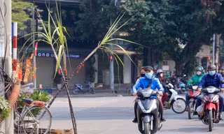 Miền Bắc sắp hửng nắng 