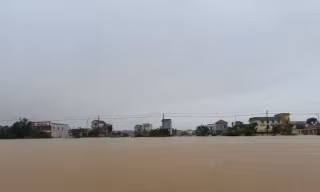 Bão Trà Mi gây mưa lớn hơn bão YAGI