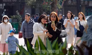 Miền Bắc sắp tăng nhiệt mạnh