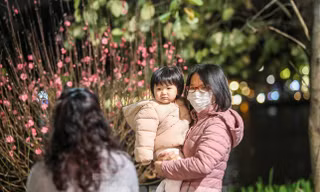Thời tiết Tết Nguyên đán trên cả nước