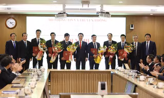 Bộ Thông tin và Truyền thông bổ nhiệm lãnh đạo nhiều đơn vị