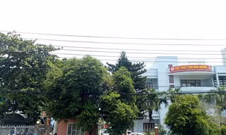Tổng cục Thuế lên tiếng vụ '2h chiều Cục Thuế Bình Dương vẫn chưa hoạt động'
