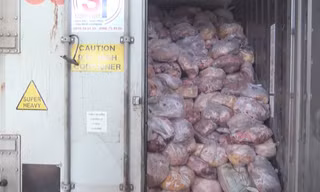 Phát hiện hàng chục tấn thịt heo thối trên 3 thùng container
