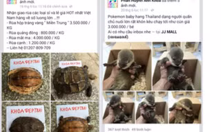 Khóa các tài khoản facebook chia sẻ hình ảnh động vật 