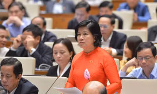 ĐBQH Nguyễn Thị Lệ Thủy - Bến Tre