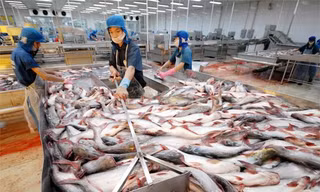 Giảm giá điện cho các doanh nghiệp xuất khẩu thủy sản gặp khó khăn