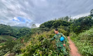 Người mở lối chuyên canh cây ăn quả ở vùng biên, nâng thu nhập cho nông dân
