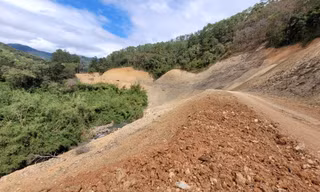 Vì sao rừng tự nhiên Đắk Lắk giảm hơn 11.600 ha?