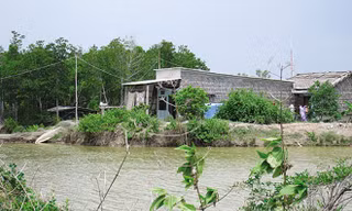 Ảnh minh họa