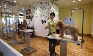 Một trung tâm chăm sóc chó của Aeonpet