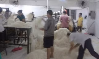 Công nhân dẫm đạp lên mỳ trong nhà máy Tongcheng.