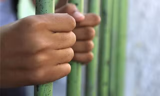 Trùm mafia dạy luật nhà tù cho... luật sư