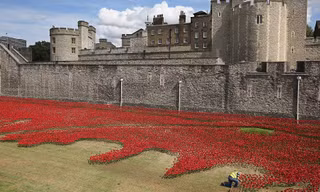 Những bông hoa anh túc đỏ phủ quanh Tháp London như "biển máu"
