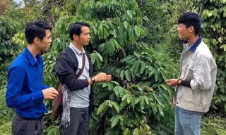 Anh Dũng (thứ 2 phải qua) chia sẻ về mô hình cà phê vườn rừng