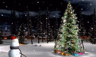 Cây thông Noel lâu năm nhất thế giới