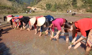 Bà con xuống đồng chuẩn bị một vụ mùa mới mưa thuận gió hòa, bội thu.