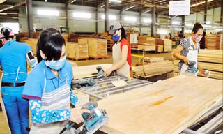  Ngành gỗ Việt Nam nguy cơ bị gỗ Trung Quốc “rửa” xuất xứảnh minh họa 