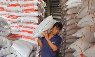 Theo các chuyên gia, xuất khẩu gạo của Việt Nam không cần tập trung quá vào loại đặc sản, mà cần giữ ổn định chất lượng Ảnh: Cảnh Kỳ 