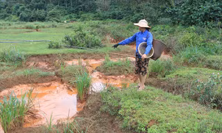 Sau khi nước rút rất nhiều chất màu đỏ bám lại dòng suối 