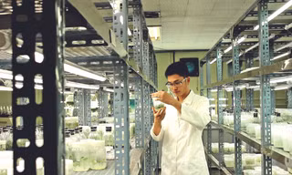 TS. Hồ Thanh Tâm trong phòng thí nghiệm Ảnh: NVCC