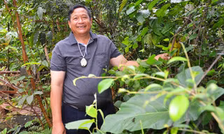 Khăm Phết trong vườn cây thuốc tự trồng