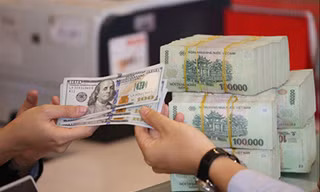 Nhiều chuyên gia dự báo, tỷ giá nửa cuối năm 2020 có thể giảm tiếp 