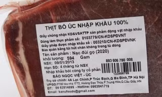 Doanh nghiệp không mua được bò Úc