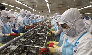 EVFTA sẽ thúc đẩy xuất khẩu thuỷ sản của Việt Nam vào EU tăng trong thời gian tới. Ảnh: Bình Phương 