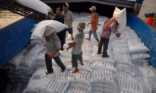 Doanh nghiệp đề nghị hủy kết quả mở khai hải quan 400 nghìn tấn gạo “lúc nửa đêm”. Ảnh: Phương Chăm 