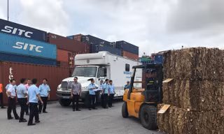 Hải quan kiểm tra container phế liệu tại Cảng Hải Phòng. ảnh: N.T