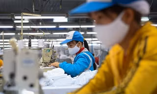 Năm 2019, khu vực kinh tế tư nhân đã tạo ra 85% việc làm cho nền kinh tế. Ảnh: Hồng Vĩnh