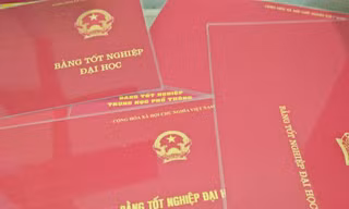 Miễn nhiệm chủ tịch HĐND thị xã không có bằng đại học