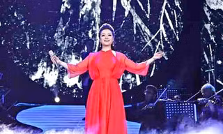 Tân Nhàn biểu diễn trong liveshow Trở về 
