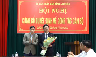 Điều động, bổ nhiệm, chỉ định nhân sự chủ chốt 8 tỉnh, thành