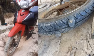 Cán bộ quản lý, bảo vệ rừng Đắk Nông bị thương do 'đinh tặc'