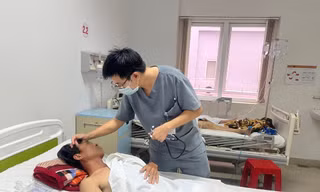 Ăn nấm mọc từ xác ấu trùng ve sầu, 6 người nhập viện