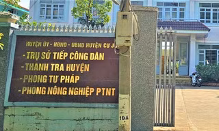 Trộm hoa giấy, Trưởng phòng Tư pháp ở Đắk Nông bị cách chức